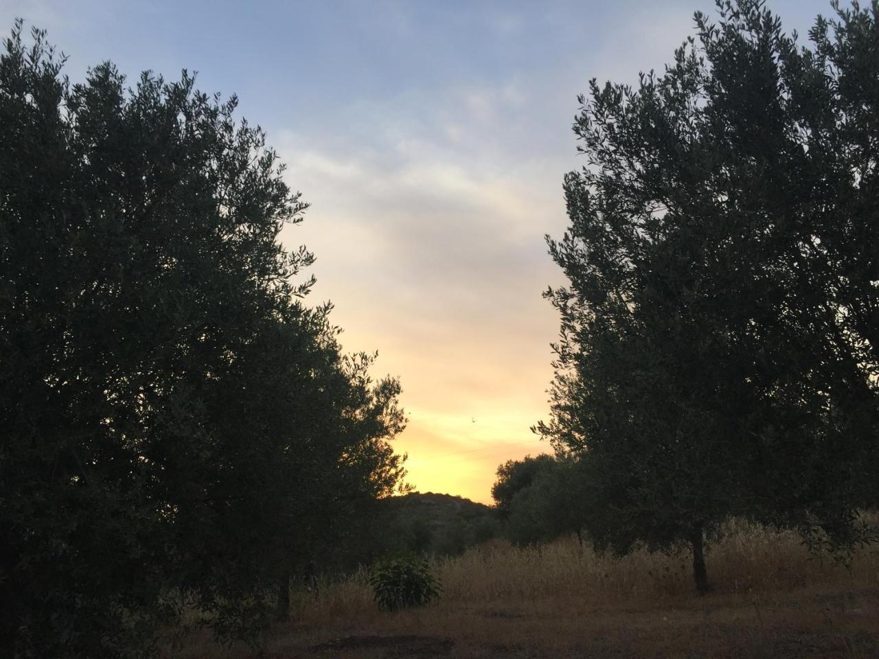 Agriturismo Saccollino San Paolo  Zewnętrze zdjęcie