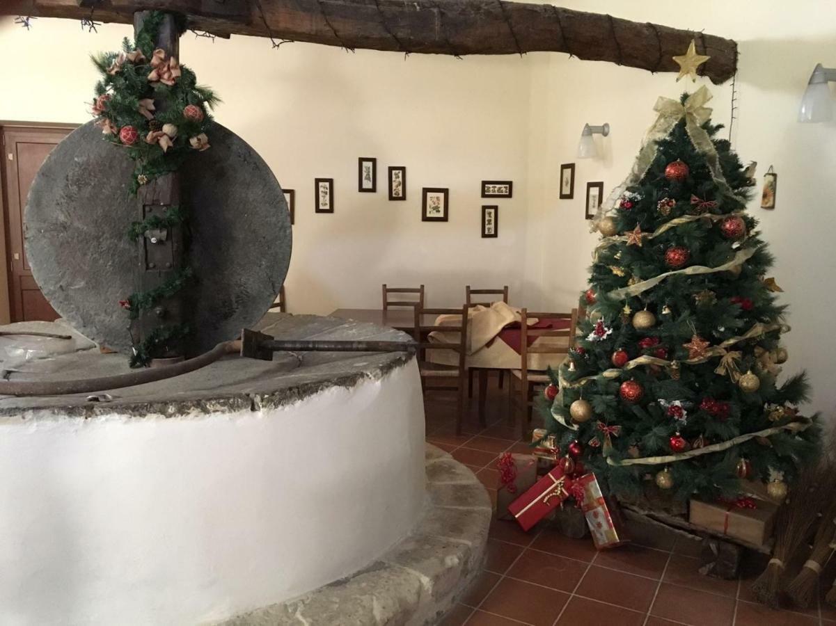 Agriturismo Saccollino San Paolo  Zewnętrze zdjęcie
