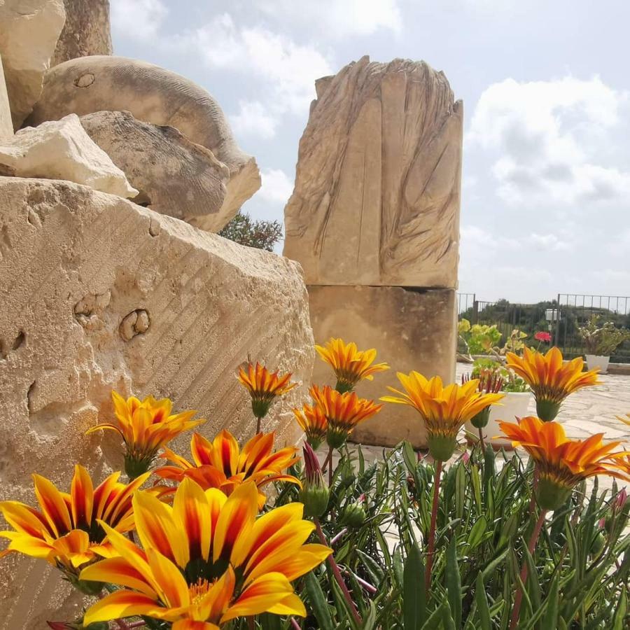 Agriturismo Saccollino San Paolo  Zewnętrze zdjęcie